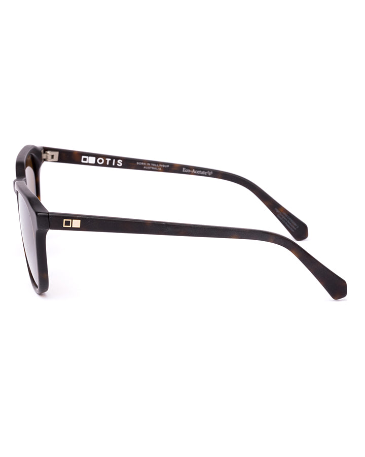 DIVIDE - Eco Matte Dark Tort / Brown Polar