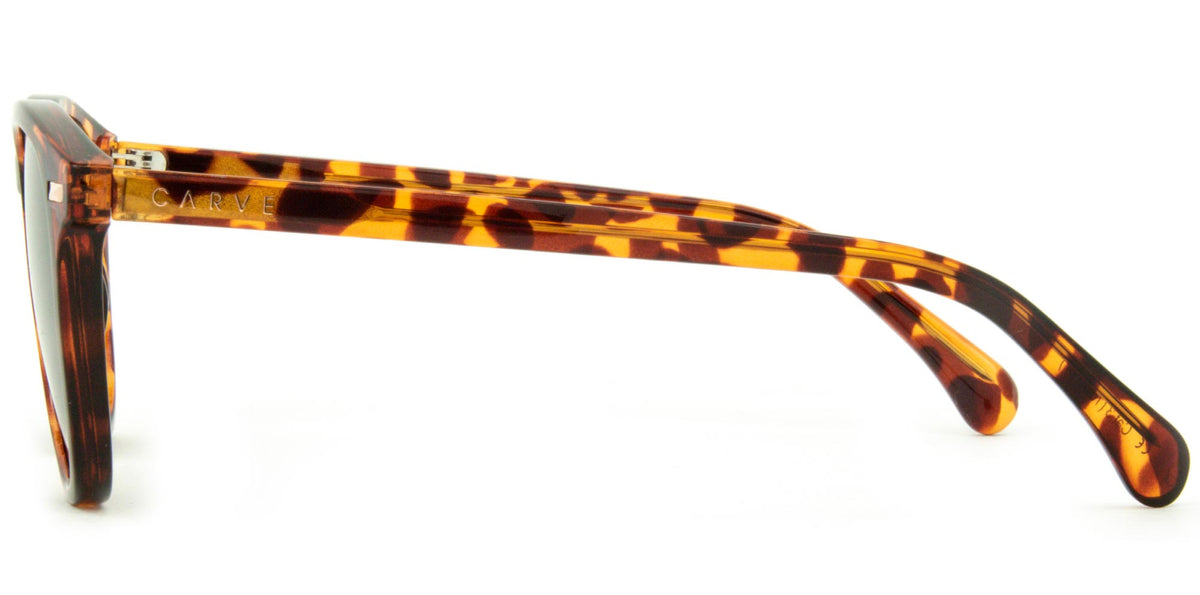 Oslo - Gloss Tort Grey Polarized Lens