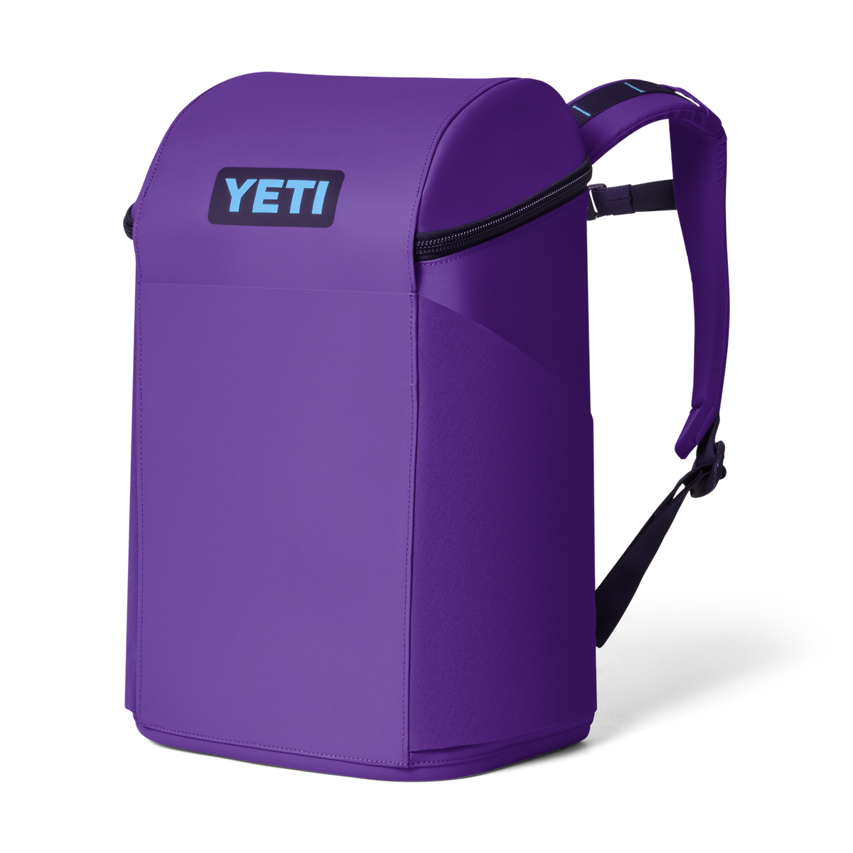 Daytrip® 20L Backpack - Pace Purple/Blue