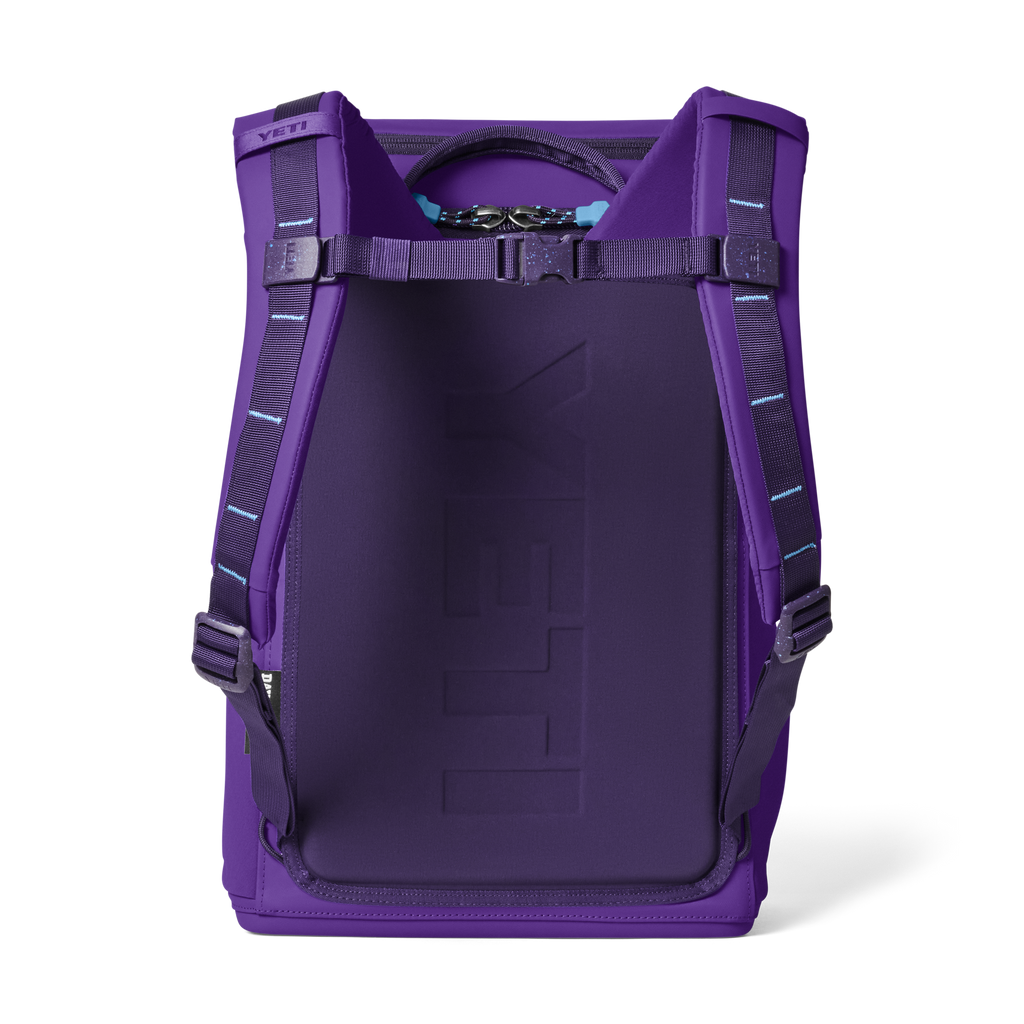 Daytrip® 20L Backpack - Pace Purple/Blue