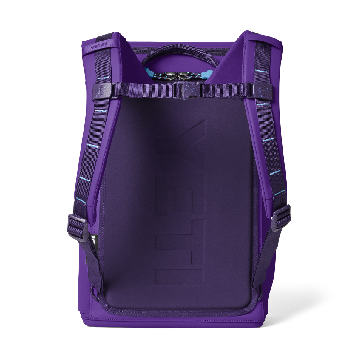 Daytrip® 20L Backpack - Pace Purple/Blue