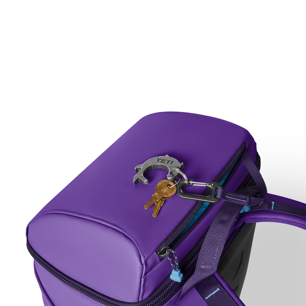 Daytrip® 20L Backpack - Pace Purple/Blue